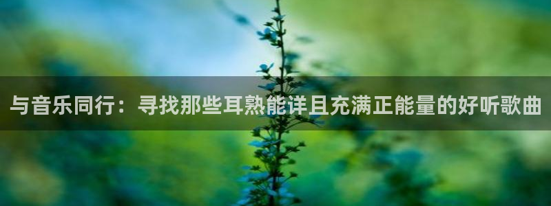 xc体育app官方网站