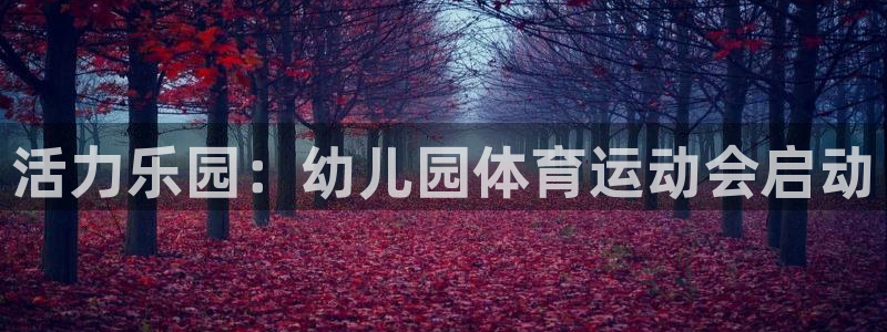 xc体育