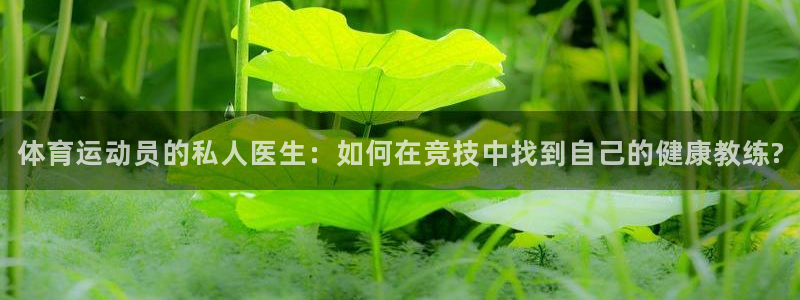 xc体育