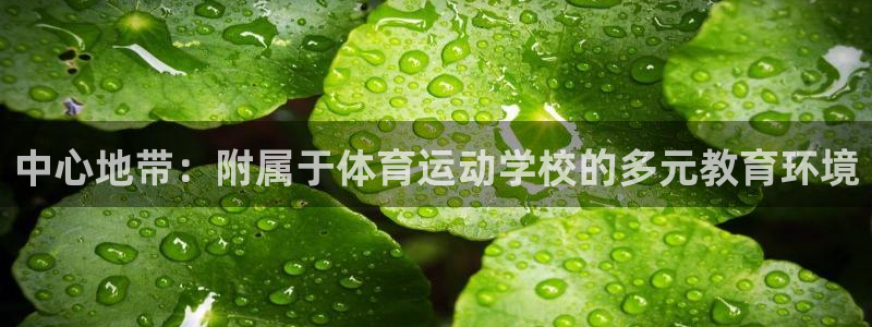 xc体育app官方网站