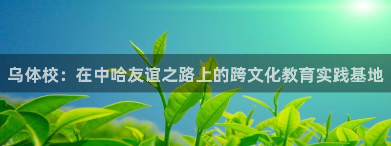 xc体育