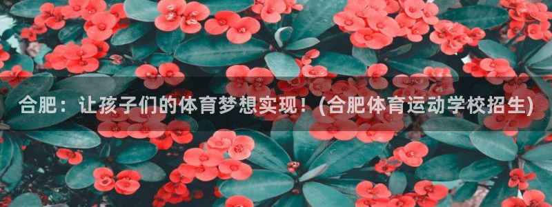 xc体育app官方网站