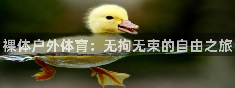 xc体育